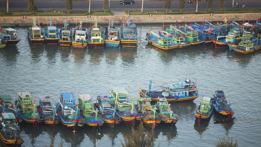 Stunning view of Phan Thiet from hot-air balloon