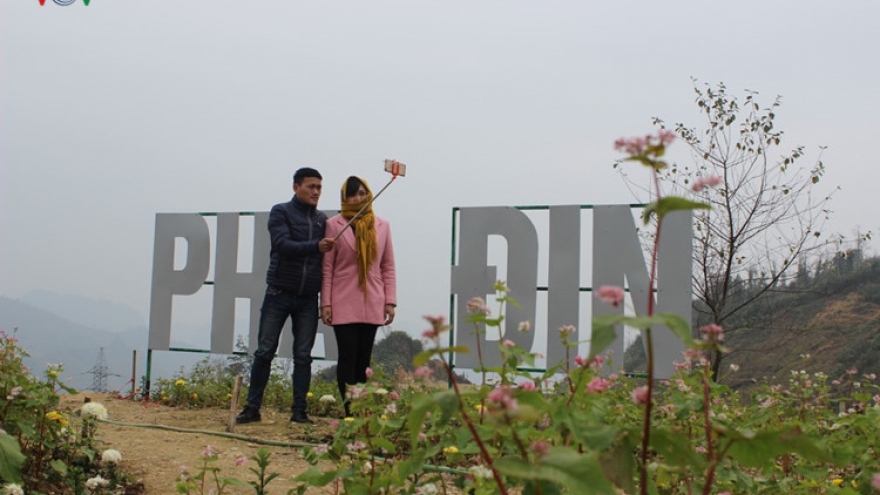 Pha Din Pass attractive with blooming flowers 