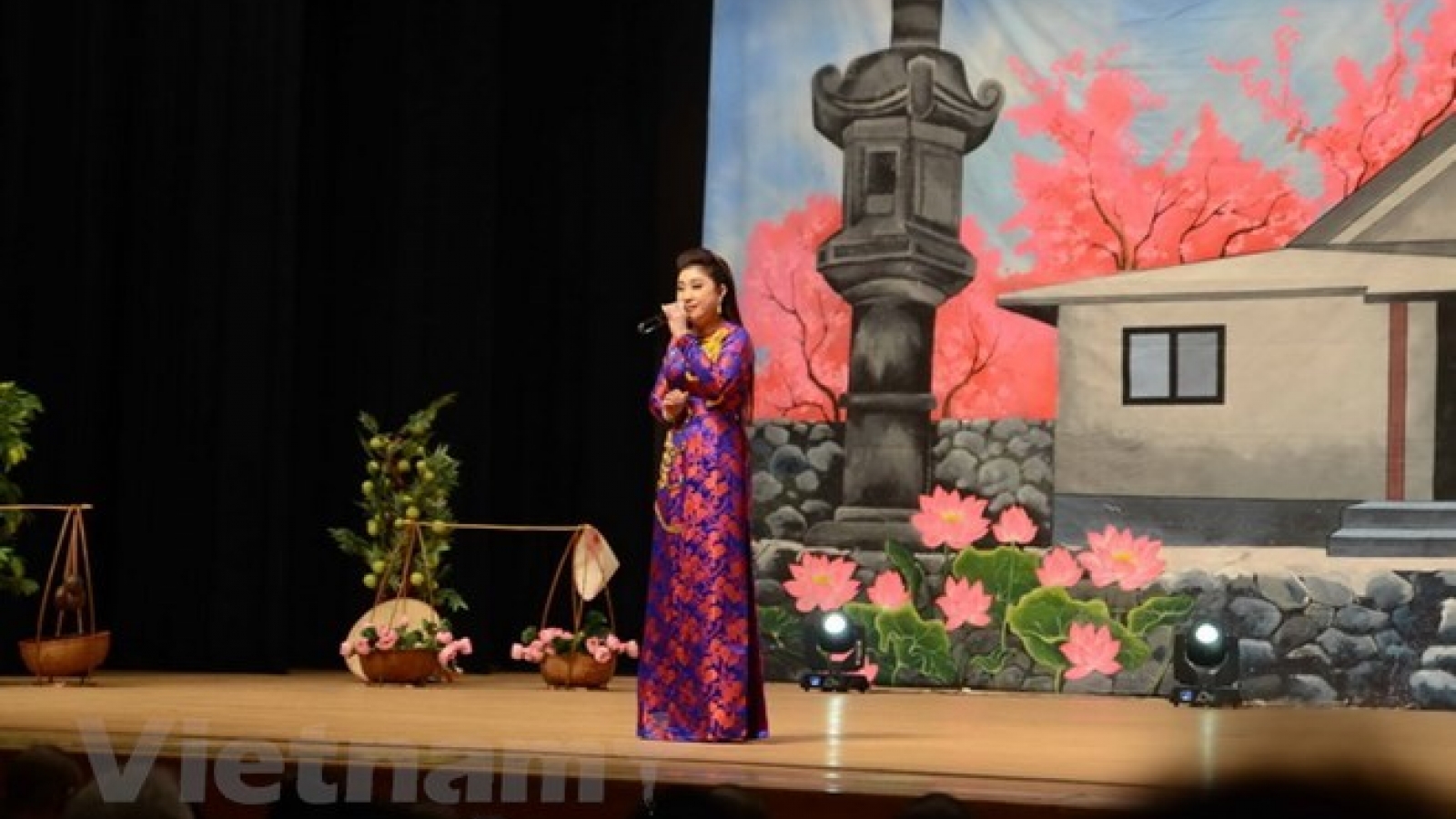 Art performance raises funds for Vietnamese pagoda in Japan