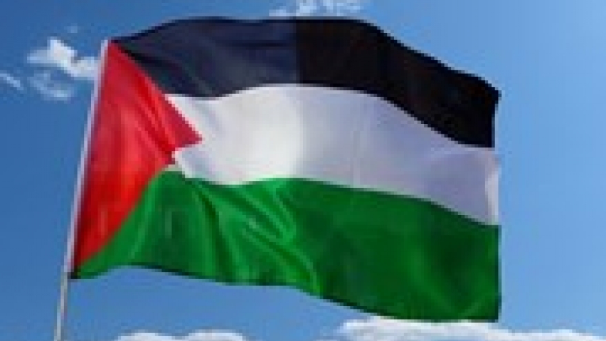 Vietnam supports solidarity with Palestinian people