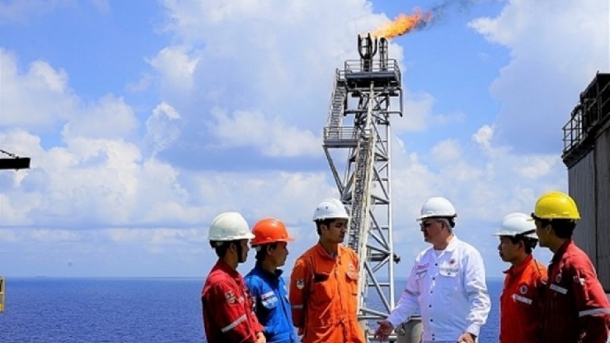 Deputy PM vows to facilitate Vietnam-Russia oil-gas cooperation
