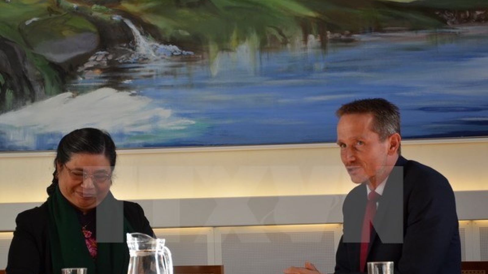 NA Vice Chair's acitivities in Denmark