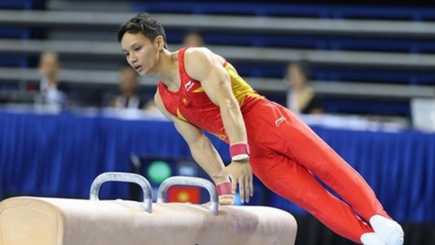 Women's artistic-gymnastics disciplines