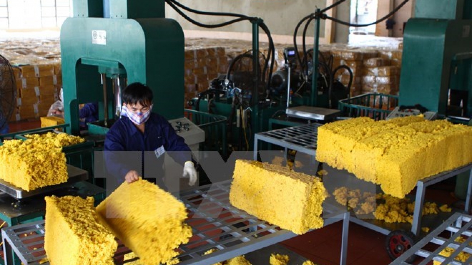 Plastics and rubber exhibition to open next month