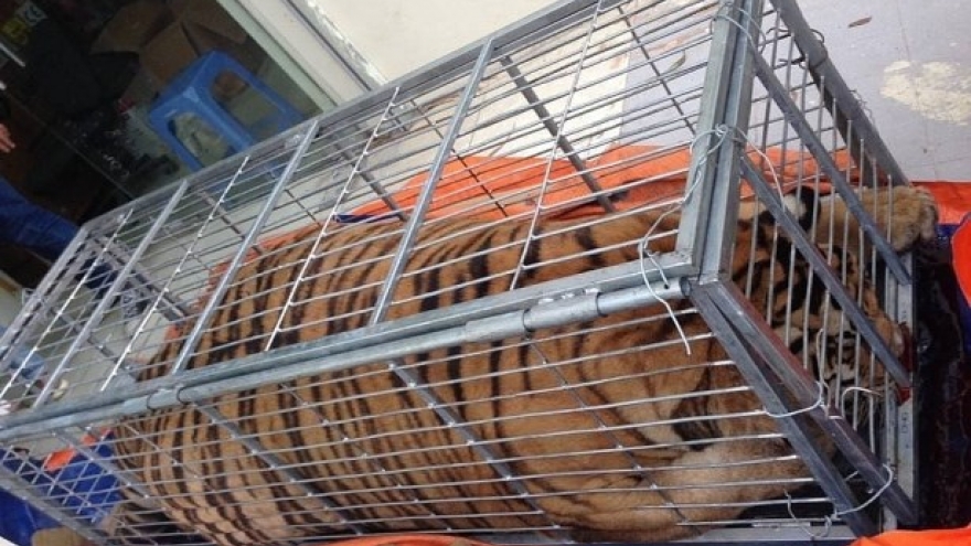 Police break wildlife trafficking ring from Nghe An to Hanoi