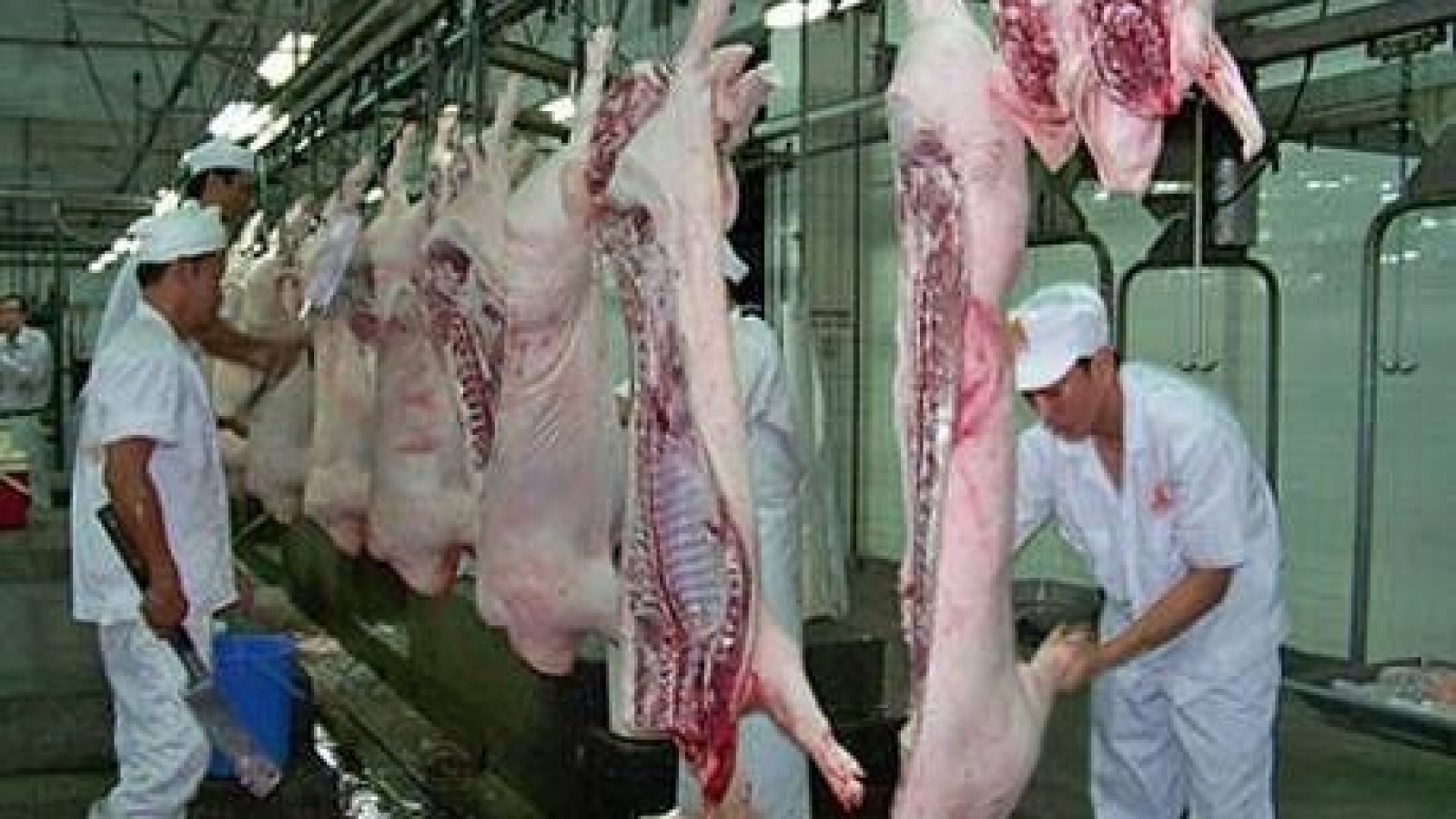 Masan starts meat processing complex in Ha Nam