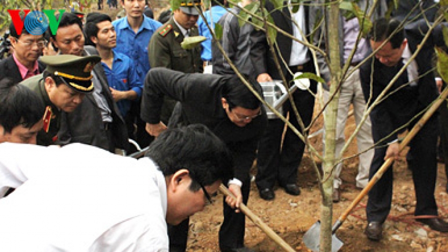 State President calls for forestation efforts
