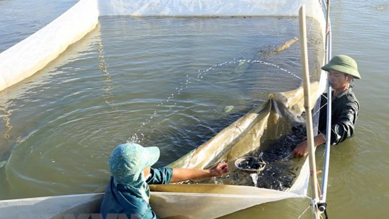 Projects to revive fishery resources in central provinces launched