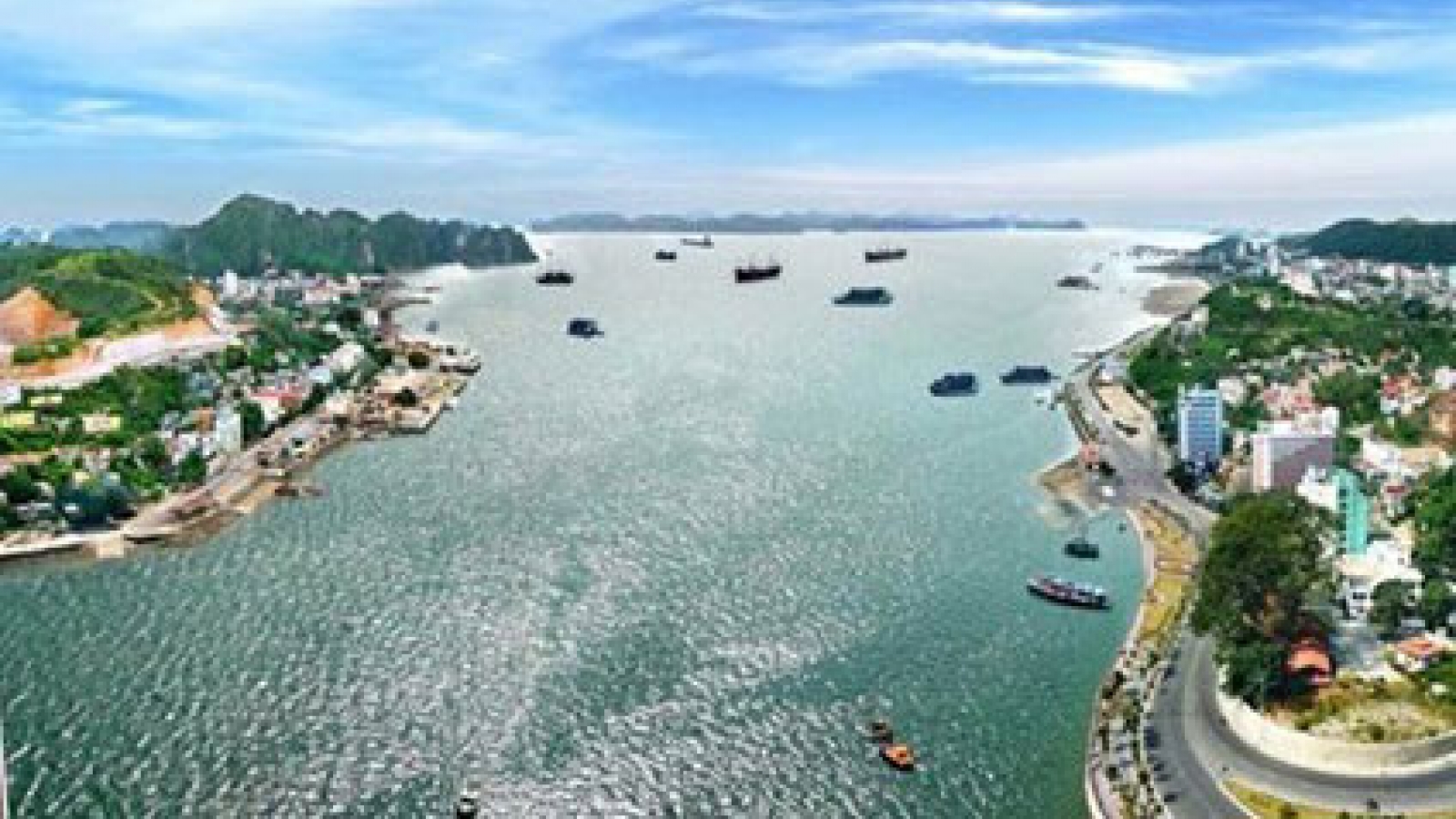 Dubai group looks to invest in Vietnam