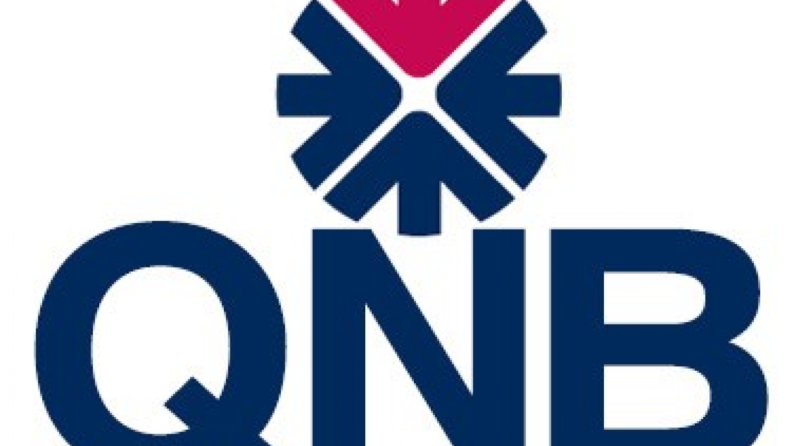 Qatari bank considers Vietnam among fastest growing EMs