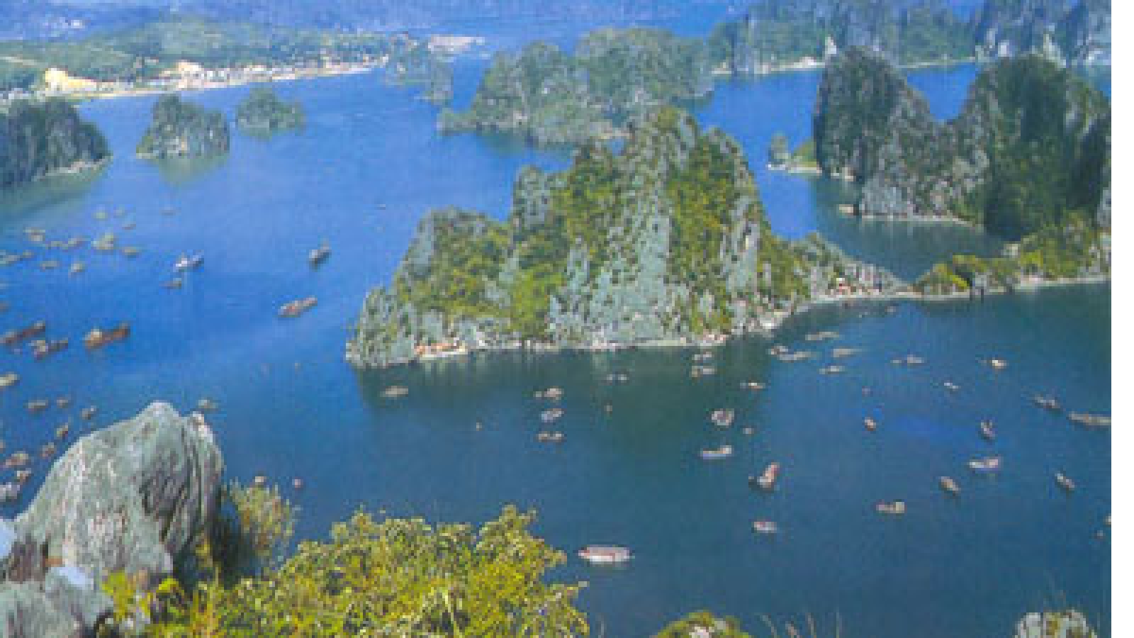 Quang Ninh hosts foreign investment forum 