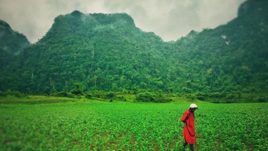 Quang Binh to introduce local images to Hollywood