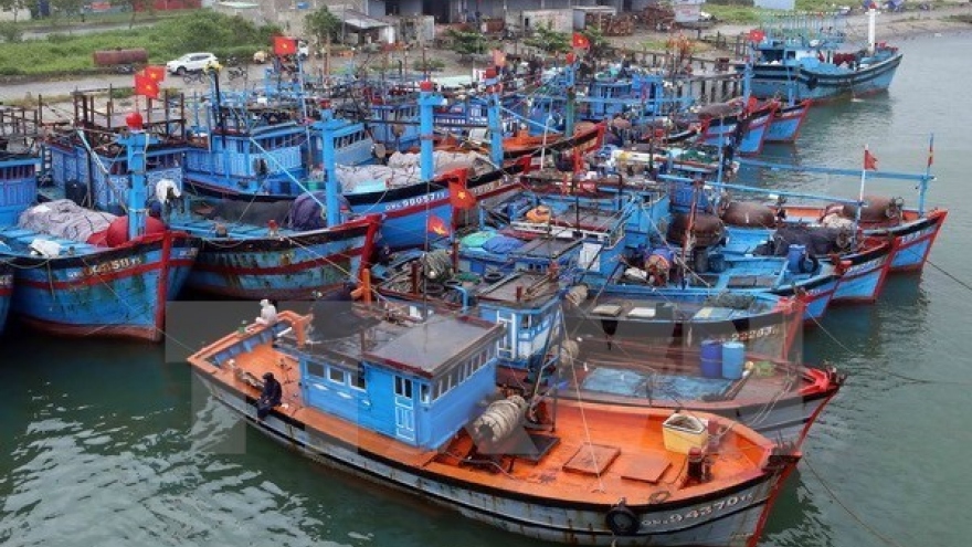 Quang Ngai asked to roll out measures to end illegal fishing