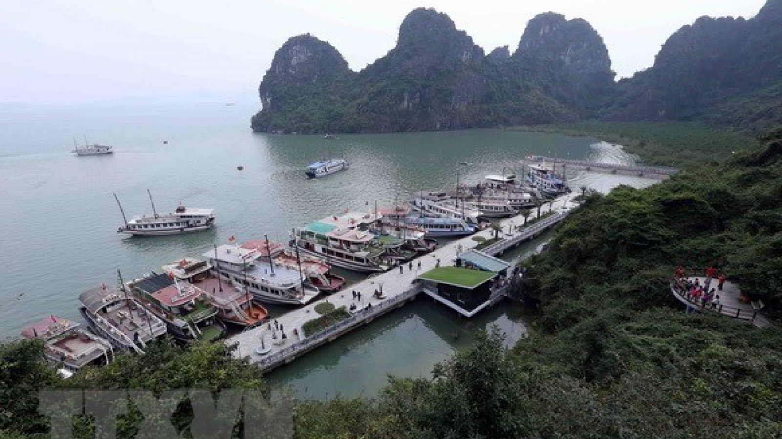 Quang Ninh works to raise quality of tourist ships on Ha Long Bay