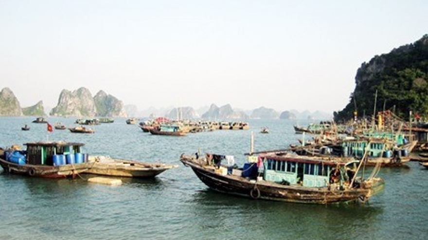 Quang Ninh province loses marine resources