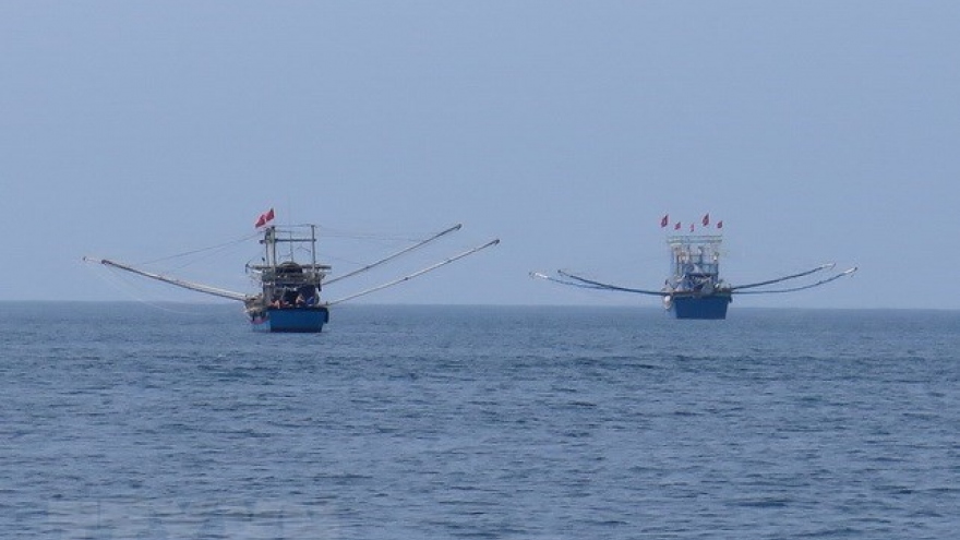 Quang Tri joins national efforts to combat illegal fishing