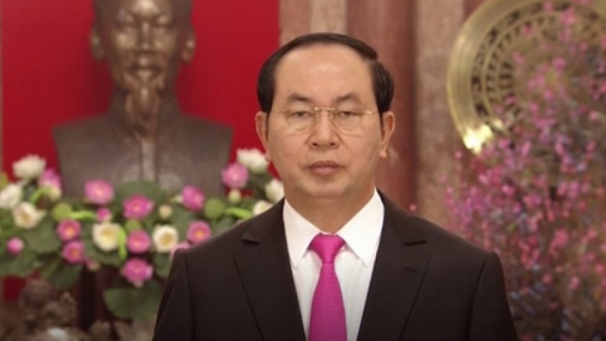 President Tran Dai Quang extends New Year greetings
