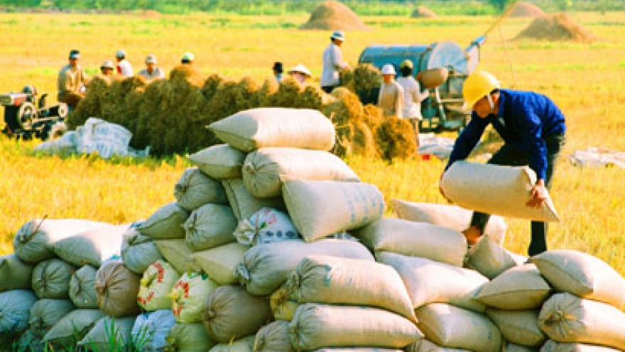 Rice exports hit US$2.3 bil in 9 months