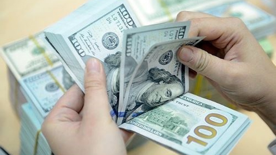 Remittances to hit US$5.2 billion this year