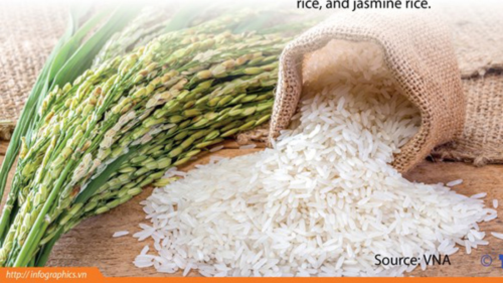 Vietnam likely to export 6.5 million tonnes of rice in 2018