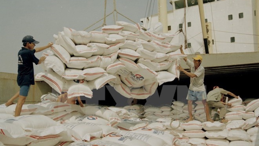 
        Rice export goal raised to 5.6 million tonnes this year
                              