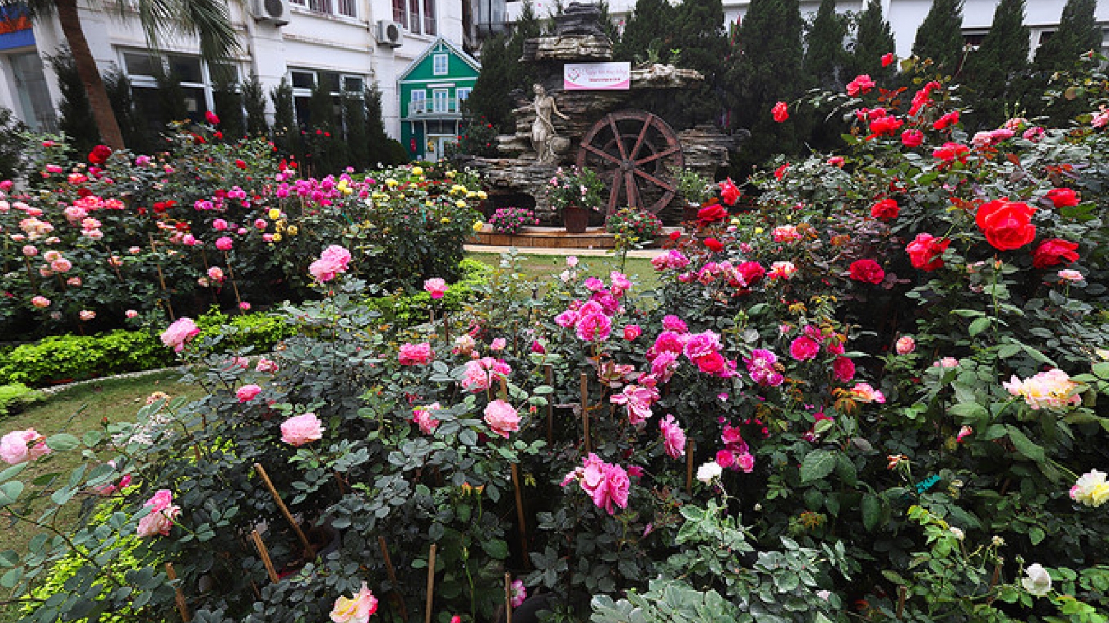 Hanoi to host Bulgaria Rose Festival 2019