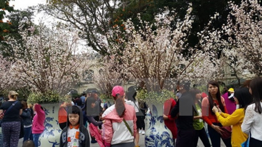 
        Vietnam, Japan boost parliamentary ties
                              