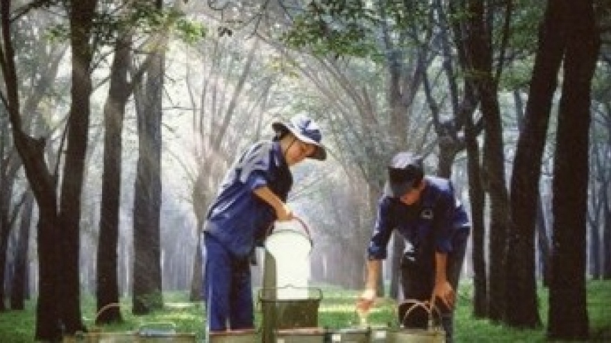Rubber industry suffers from falling prices