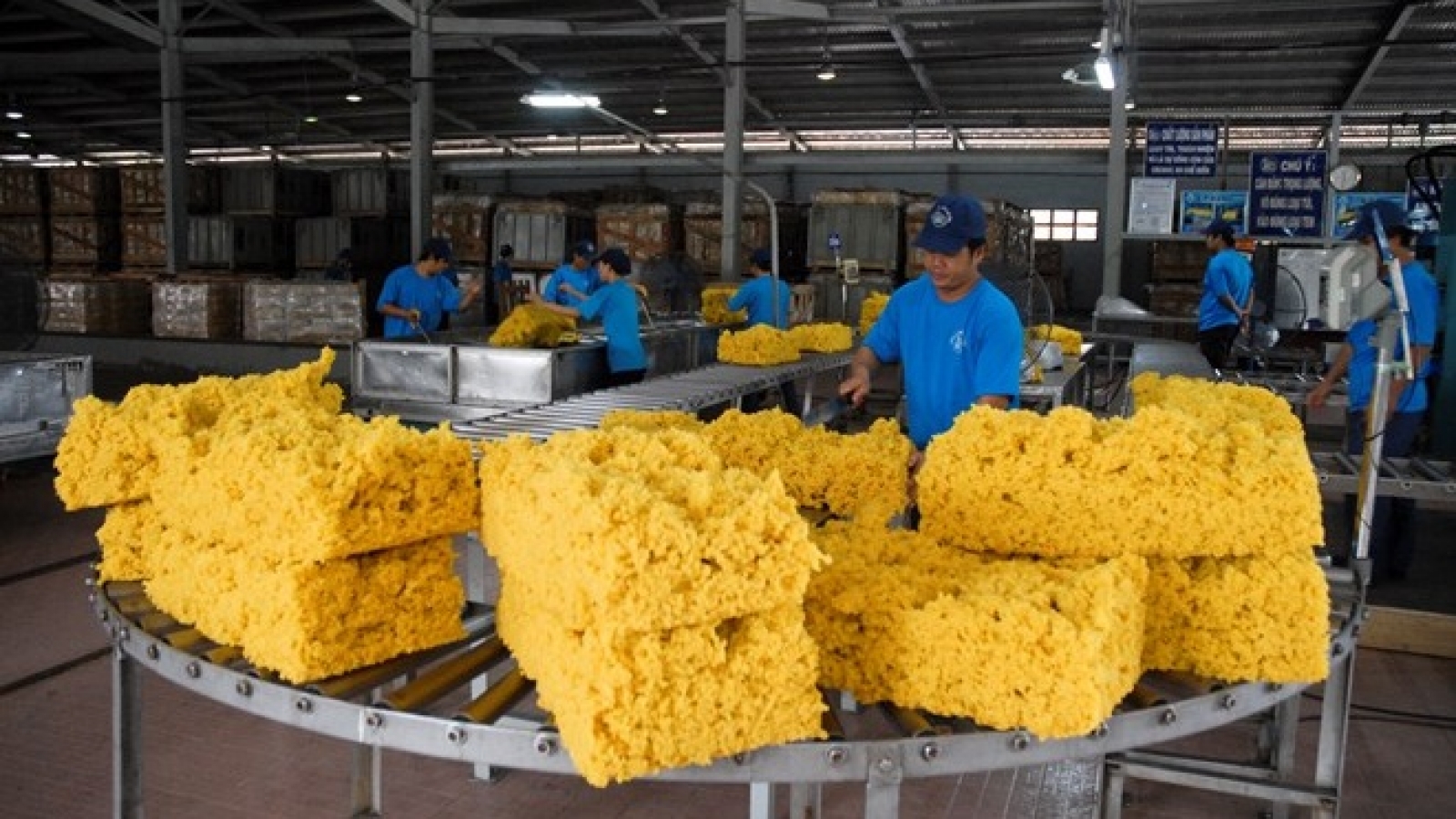 Rubber sector aims to expand domestic consumption