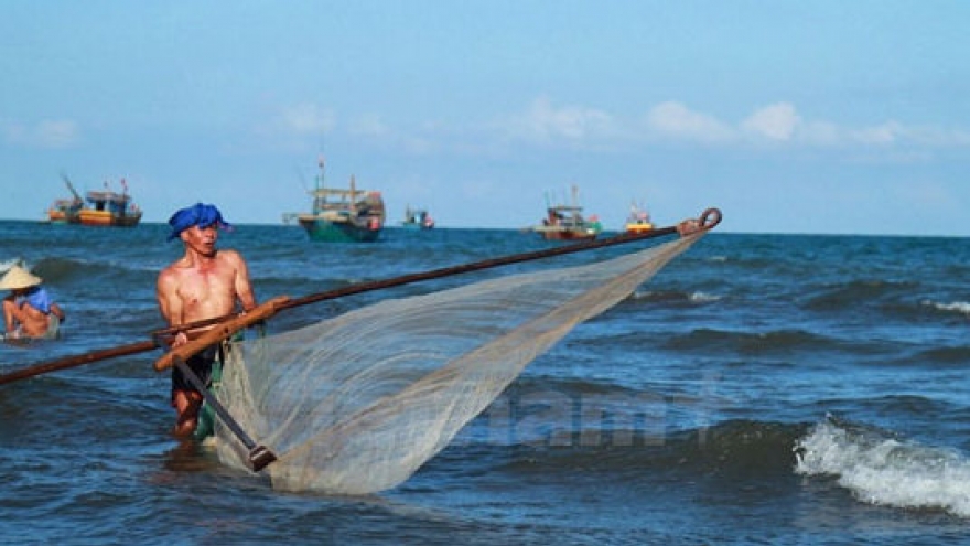 Ruoc netting season in central Vietnam: In pictures
