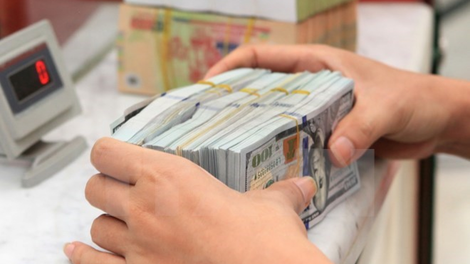 Firms adapt to anti-dollar drive