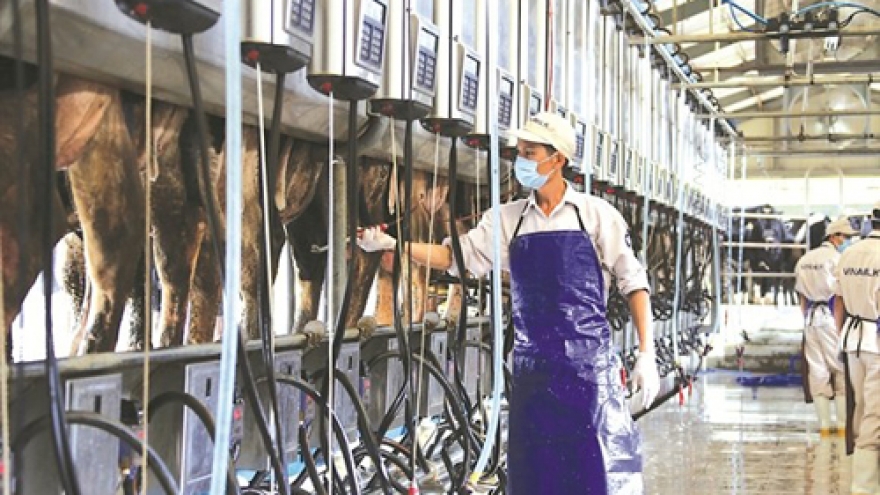 
        What SCIC would live on after selling 10 profitable businesses?
                              