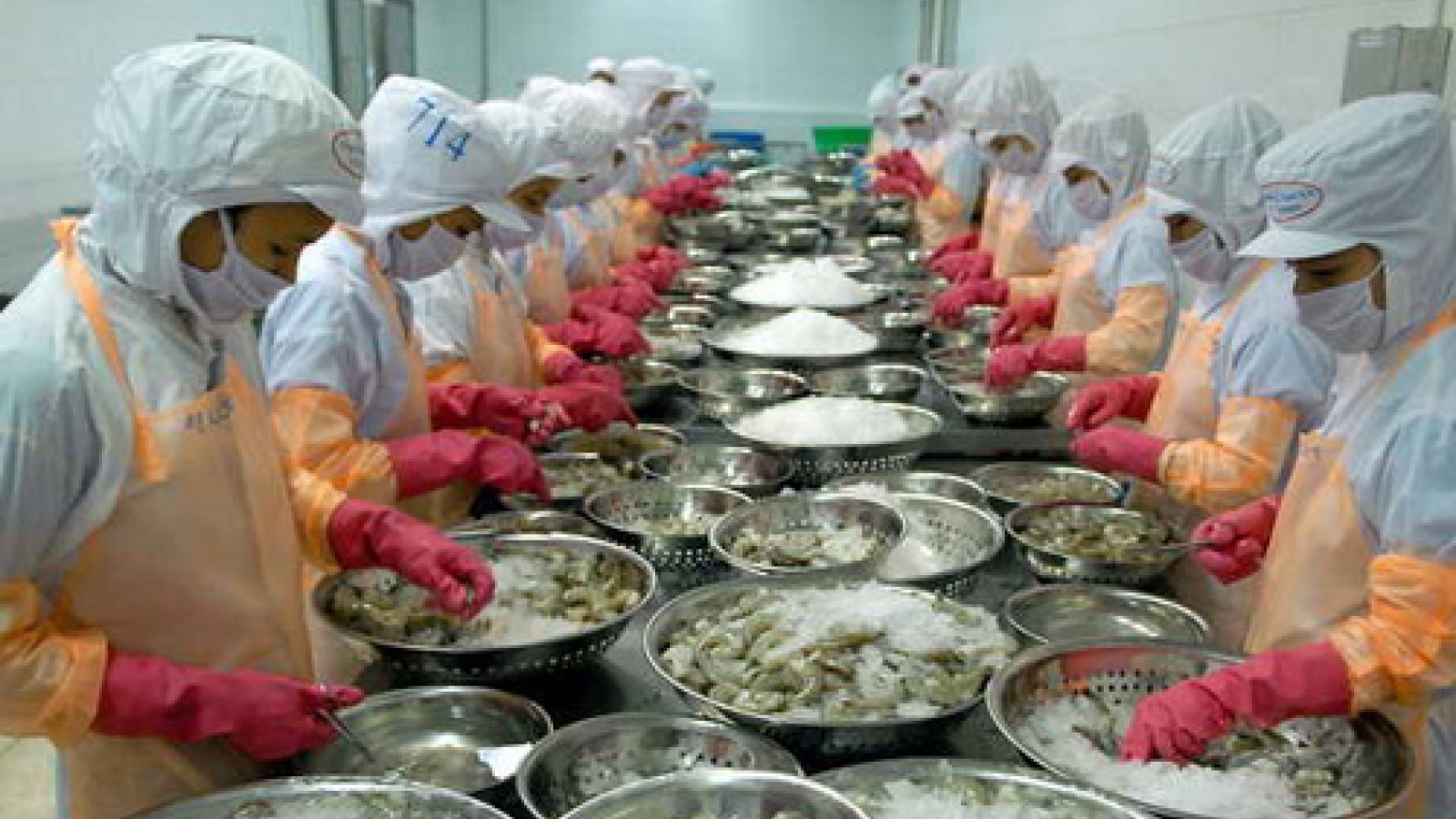 Seafood companies attend int’l expo in Australia