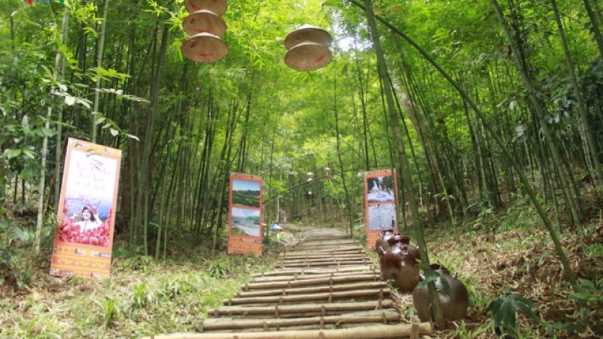 Discover picturesque Rung Vang tourist site in Son La