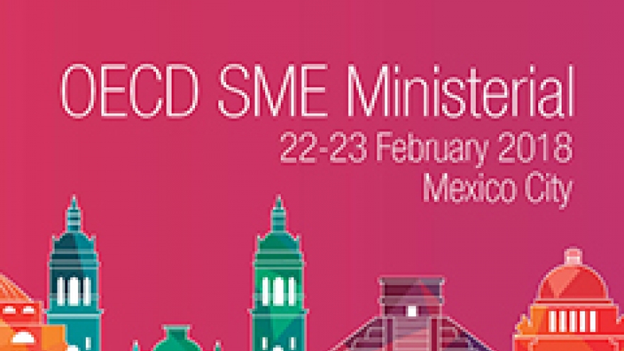 Vietnam attends OECD ministerial conference on SMEs in Mexico