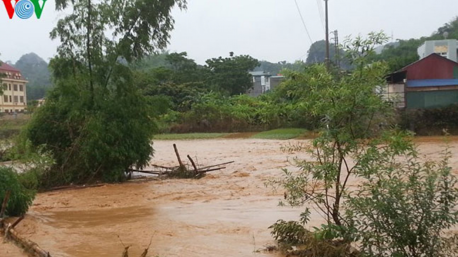 Storm Kujira causes severe human and property losses