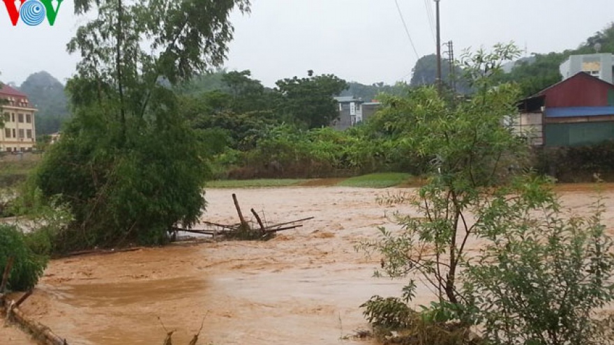 Storm Kujira causes severe human and property losses