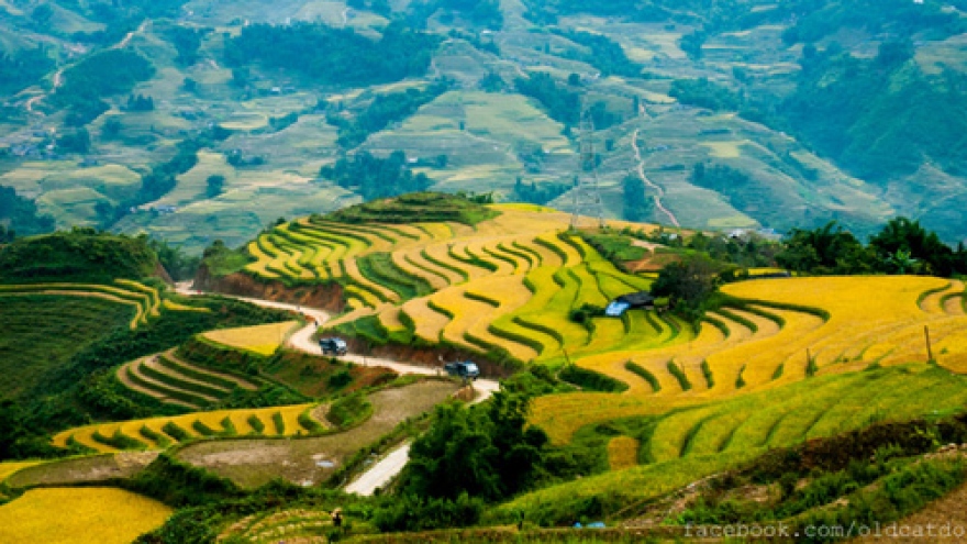 Sapa terraced fields among top 30 beautiful places globally