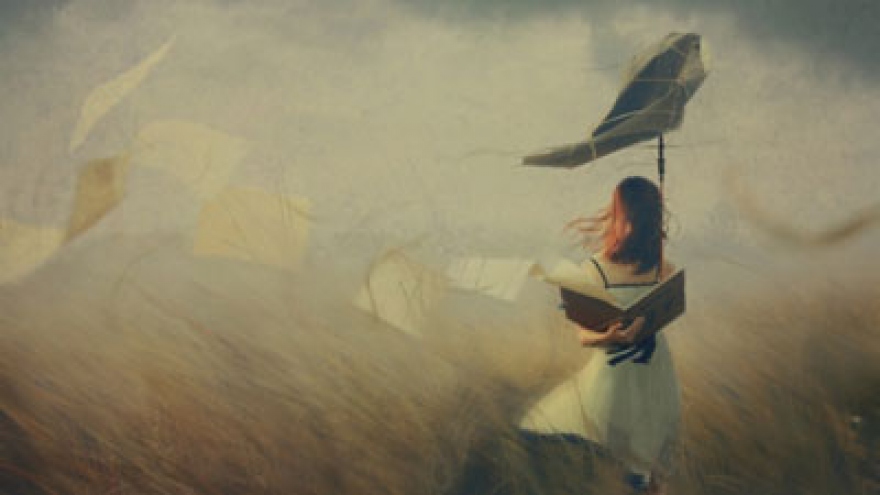 Young Vietnamese wins int’l photo awards