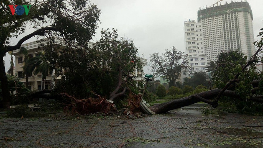 Storm Damrey strikes central and south-central coastal provinces
