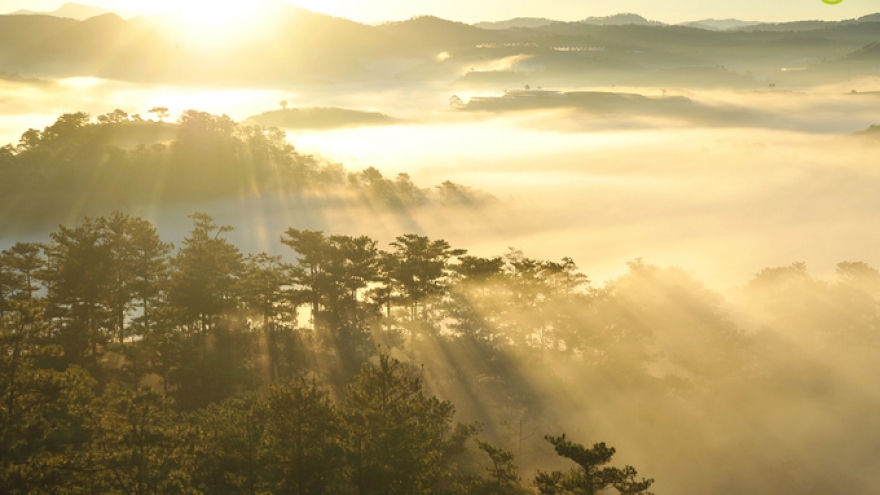 Suoi Vang Lake – ideal place for cloud hunters in Da Lat