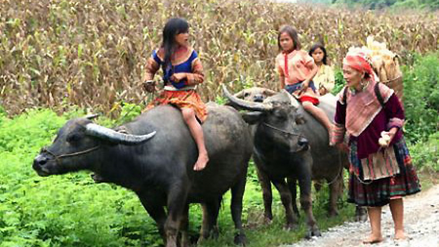 Enchanted Sapa through the lens of American photographer