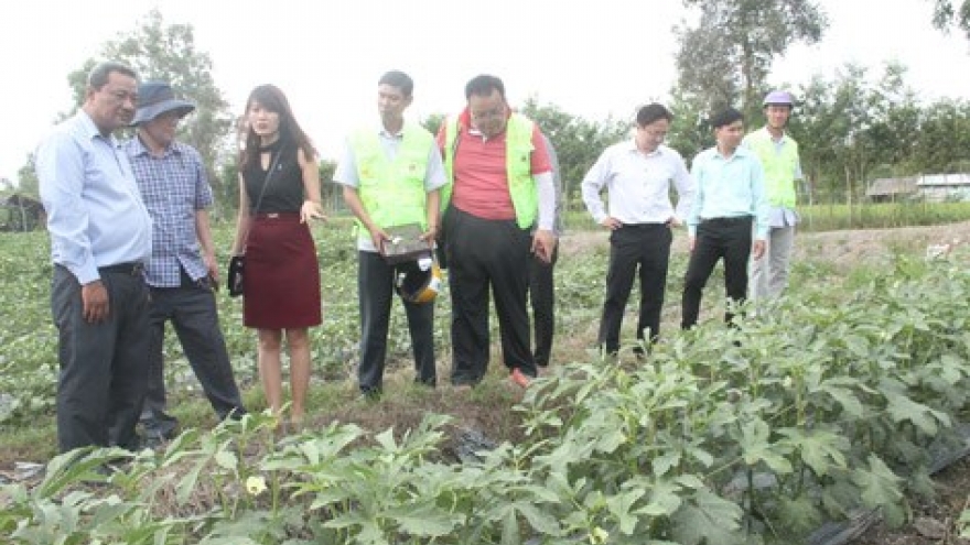 Hau Giang, RoK foundation work to apply high tech in agriculture
