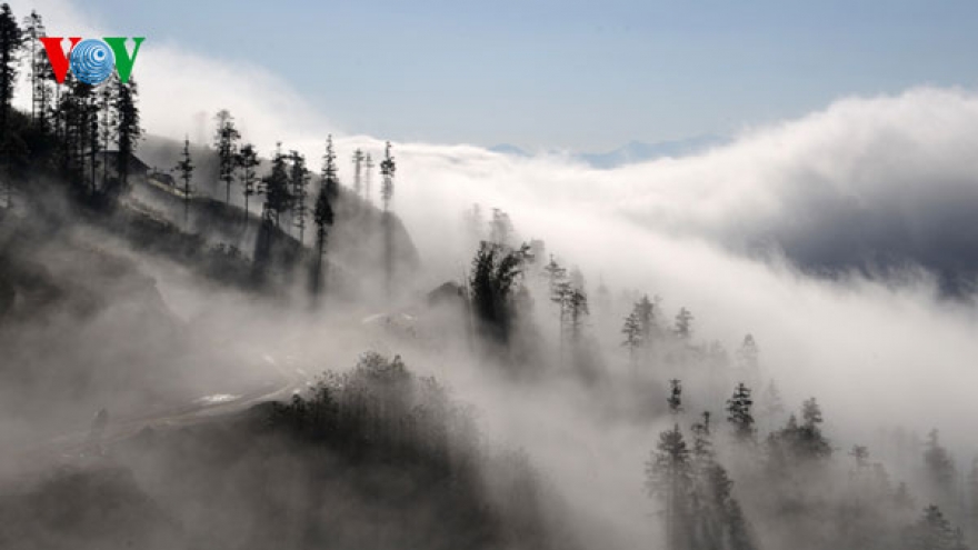 Sapa in the Cloud Festival begins in Lao Cai