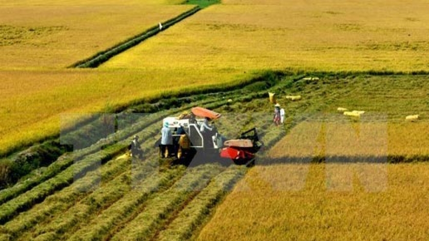 
        Japanese group eyes hi-tech agriculture in Can Tho
                              
