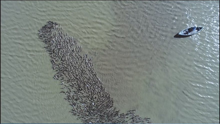 Zing.vn: See all of Vietnam from the air 