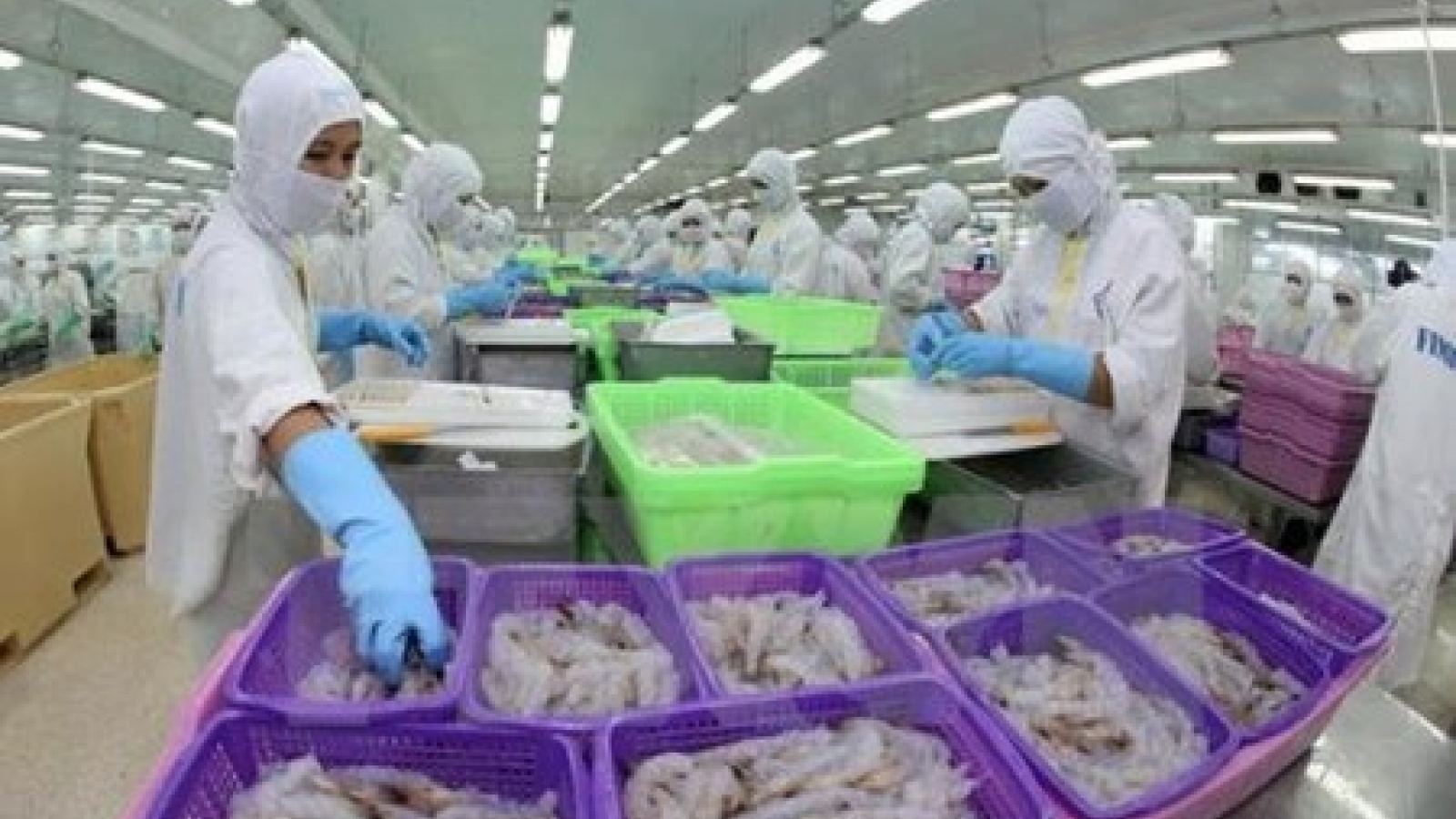 Seafood exports benefit most from Vietnam-EAEU FTA