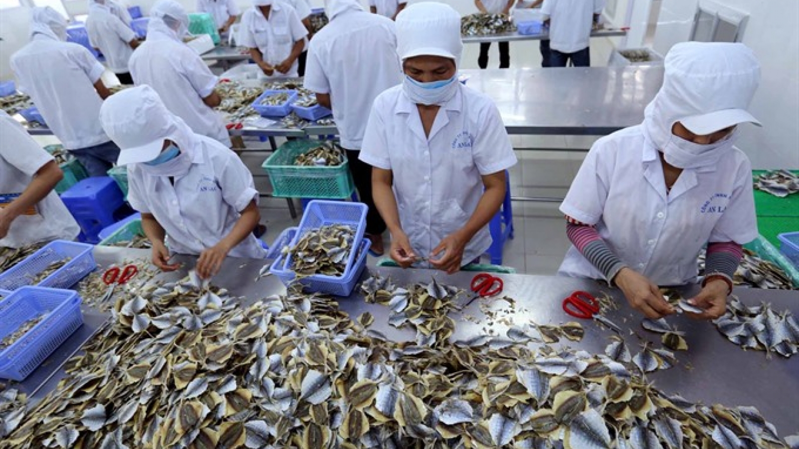 Seafood firms urged to register online