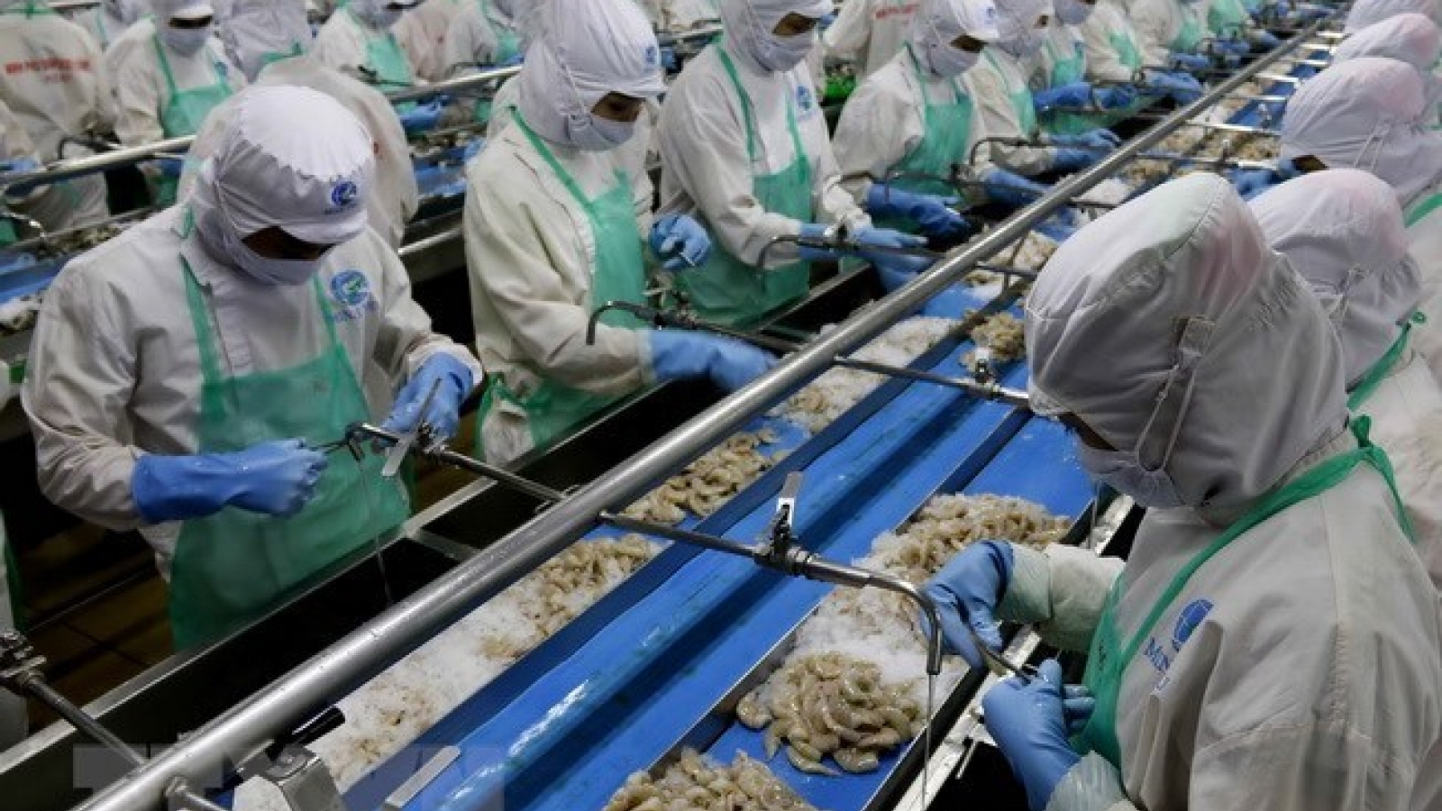 Seafood processing firms lack materials