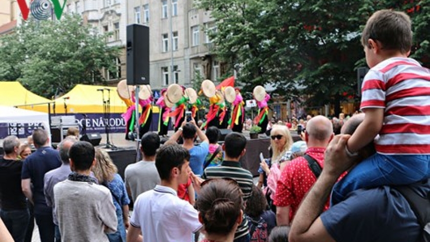 Vietnam ready to work with Czech Republic on visa-related issue